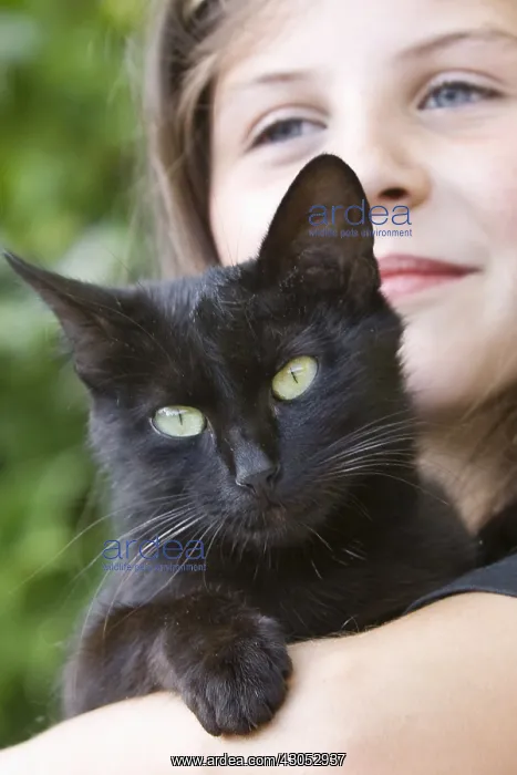 : Portrait of a girl with a black cat : Portrait of a girl with a black cat