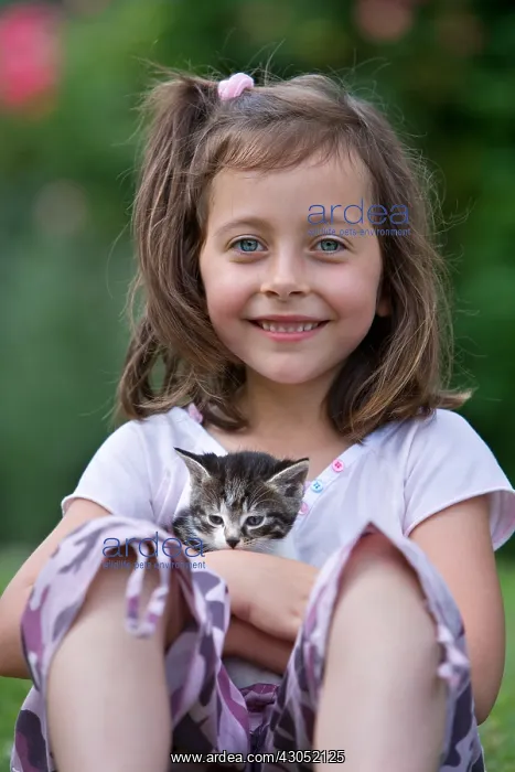 : Portrait of little girl with kitten Lautenbach Alsace France : Portrait of little girl with kitten Lautenbach Alsace France