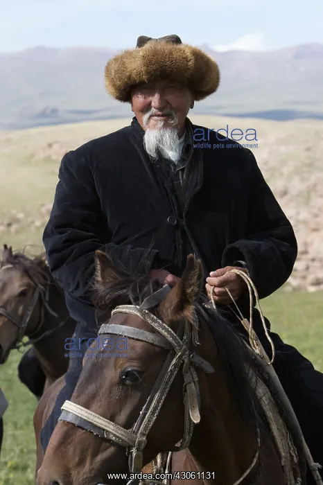 : Portrait of an old nomadic horseman in Kyrgyzstan : Portrait of an old nomadic horseman in Kyrgyzstan