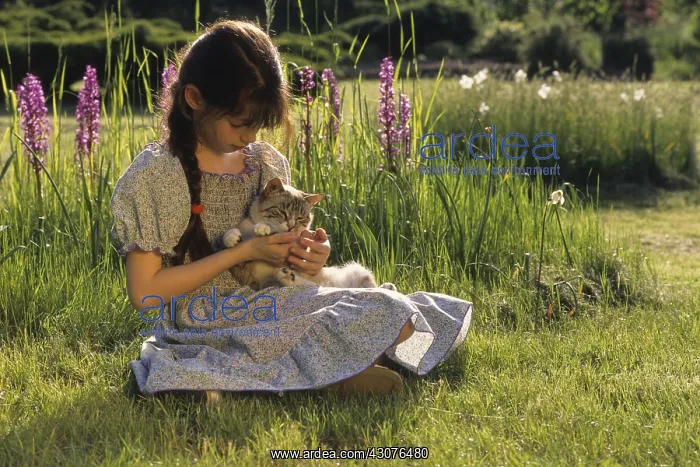 : Portrait of a young girl with a kitten in the garden : Portrait of a young girl with a kitten in the garden