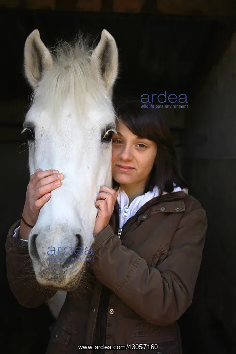  : Portrait of a young rider with his horse