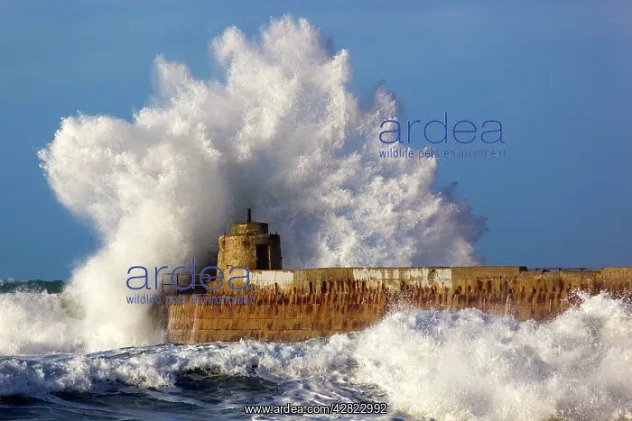 : Portreath - wave breaks over pier in storm : Portreath - wave breaks over pier in storm