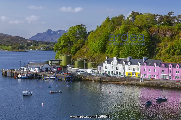 : Portree - colourful houses along harbour of Portree : Portree - colourful houses along harbour of Portree