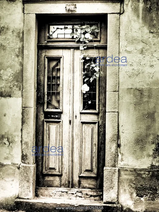  : Portugal, Aveiro, Old doorways in the city