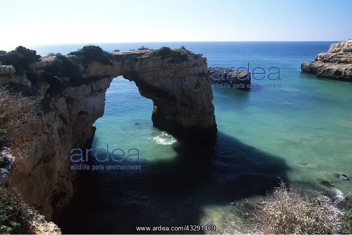 : PORTUGAL - Coastal bridge - erosion of sedimentary : PORTUGAL - Coastal bridge - erosion of sedimentary