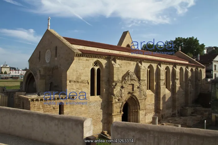 : Portugal, Coimbra. The 13th century Convent : Portugal, Coimbra. The 13th century Convent