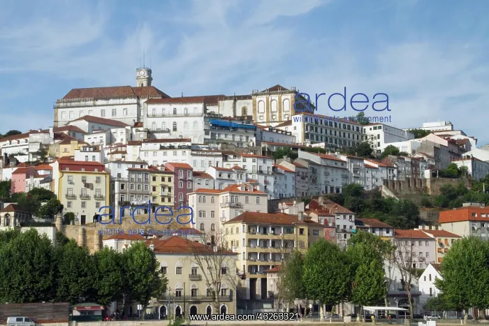 : Portugal, Coimbra. Built in 1290, the Universidade : Portugal, Coimbra. Built in 1290, the Universidade