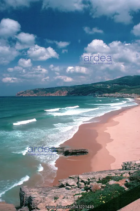 : Portugal, Estoril. Praia de Guincho, a popular : Portugal, Estoril. Praia de Guincho, a popular