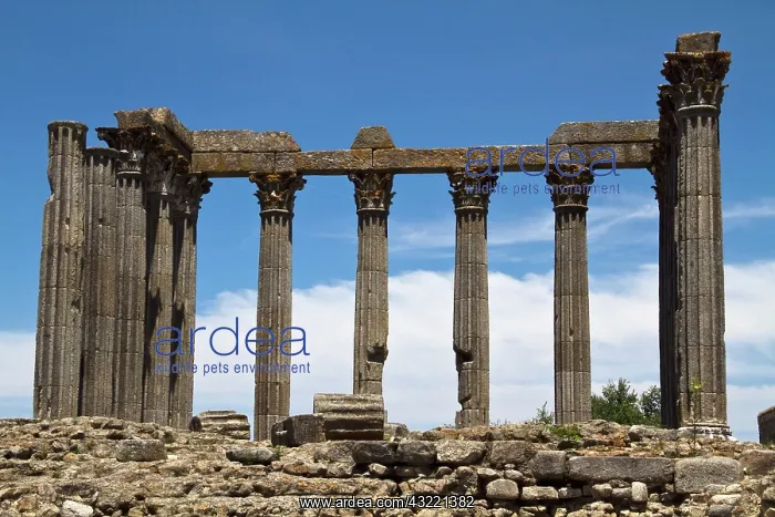 : Portugal, Evora. The ruins of a Roman temple : Portugal, Evora. The ruins of a Roman temple