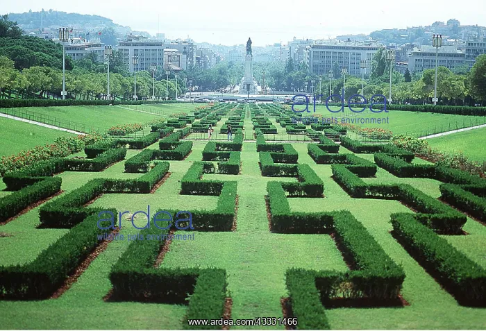 : PORTUGAL - Formal Garden Park in Lisbon : PORTUGAL - Formal Garden Park in Lisbon