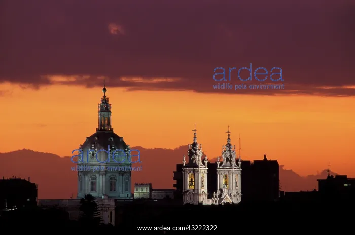 : Portugal, Lisbon, Bairro Alto. Basilica : Portugal, Lisbon, Bairro Alto. Basilica