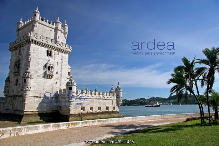 : Portugal, Lisbon. Belem Tower, a UNESCO : Portugal, Lisbon. Belem Tower, a UNESCO