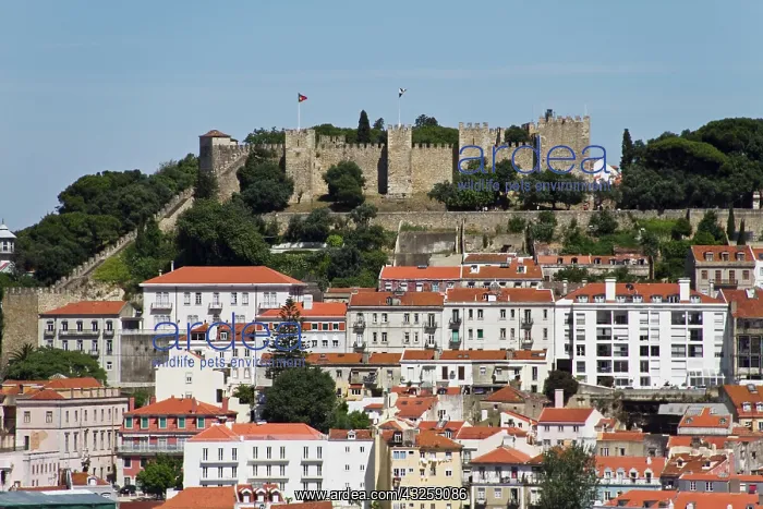 : Portugal, Lisbon. The Castelo de Sao Jorge : Portugal, Lisbon. The Castelo de Sao Jorge