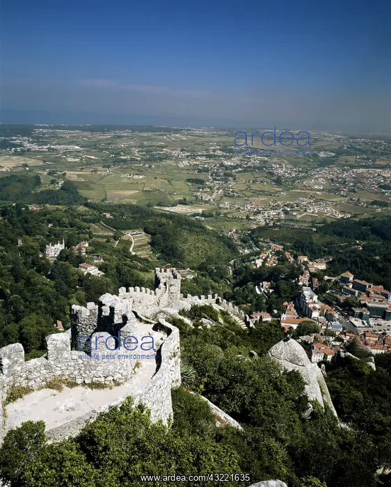 : Portugal, Lisbon Province, Sintra, View : Portugal, Lisbon Province, Sintra, View