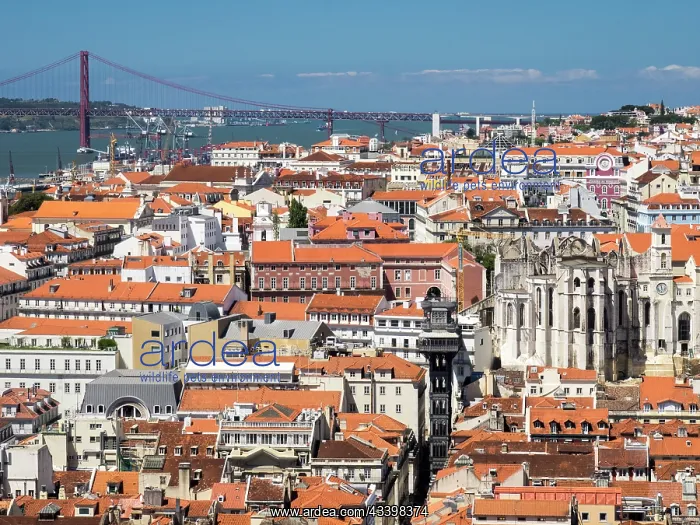 : Portugal, Lisbon. A view of Lisbon with the Santa : Portugal, Lisbon. A view of Lisbon with the Santa