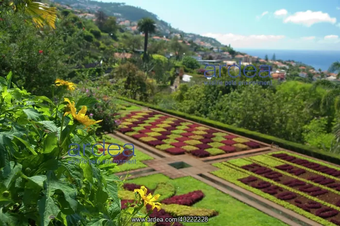 : Portugal, Madeira Island, Funchal. Botanical : Portugal, Madeira Island, Funchal. Botanical