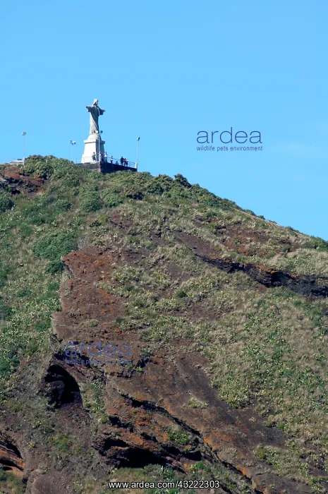 : Portugal, Madeira Island, Funchal. Christ