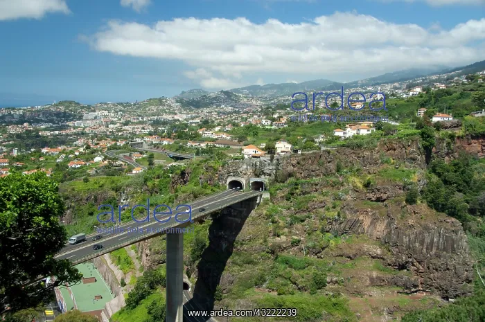  : Portugal, Madeira Island, Funchal. Overview