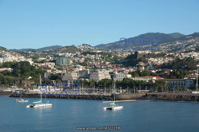 : Portugal, Madeira Island, Funchal. Port : Portugal, Madeira Island, Funchal. Port