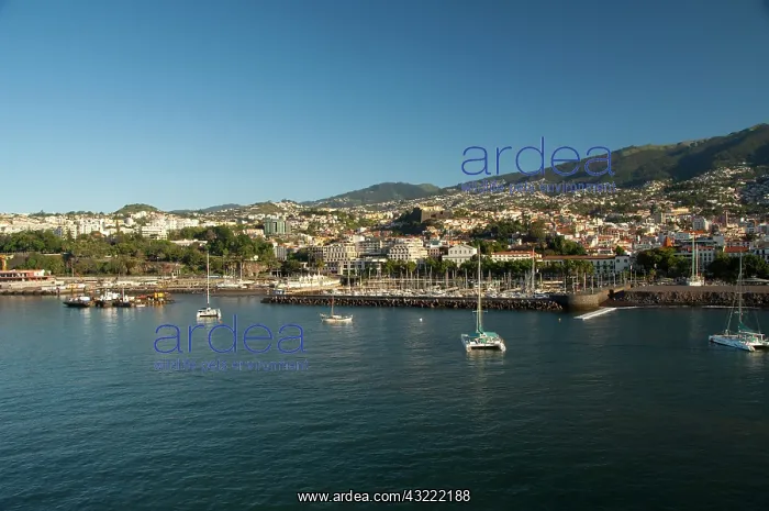: Portugal, Madeira Island, Funchal. Port : Portugal, Madeira Island, Funchal. Port