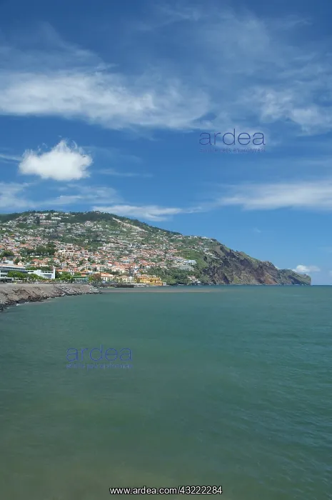: Portugal, Madeira Island, Funchal. Scenic : Portugal, Madeira Island, Funchal. Scenic