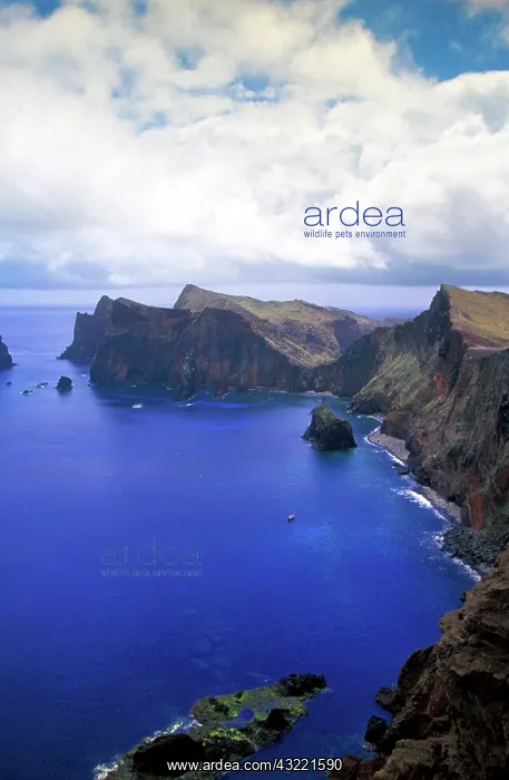 : Portugal, Madeira, Ponta de Sao Laurenco : Portugal, Madeira, Ponta de Sao Laurenco