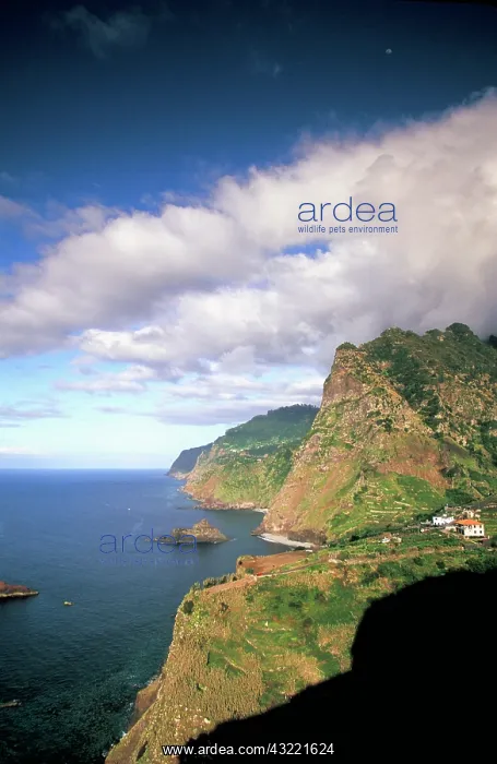 : Portugal, Madeira. View of northern coastline : Portugal, Madeira. View of northern coastline