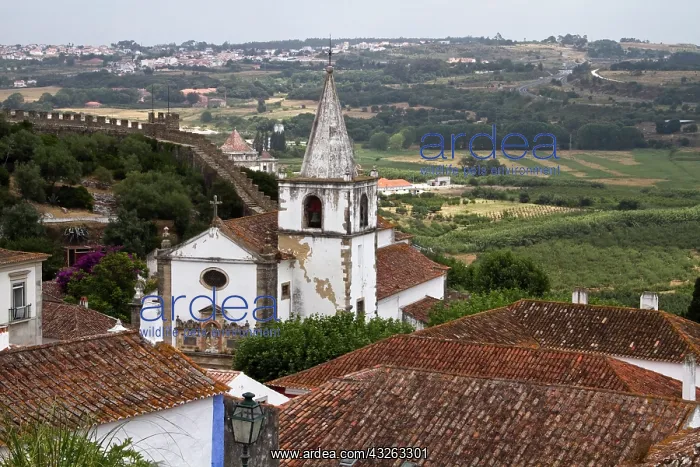 : Portugal, Obidos. The Igreja de Santa Maria : Portugal, Obidos. The Igreja de Santa Maria
