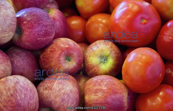 : Portugal, Olhao. Produce in a public market : Portugal, Olhao. Produce in a public market