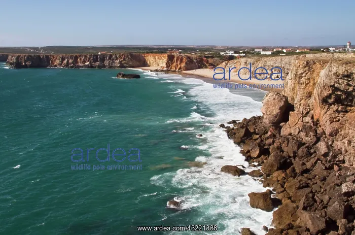 : Portugal, Sagres. Praia do Tonel on the : Portugal, Sagres. Praia do Tonel on the
