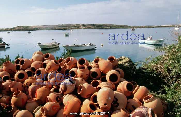  : Portugal - terracota pots at Alvor. For Calamares