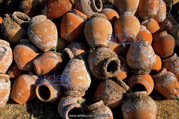 : Portugal - terracotta fishing pots with accumulated : Portugal - terracotta fishing pots with accumulated