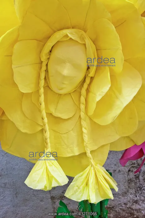 : Portugal, Tomar. Close-up of paper flowers : Portugal, Tomar. Close-up of paper flowers