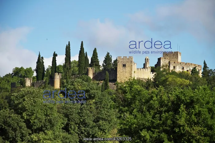 : Portugal, Tomar. The Convento de Cristo : Portugal, Tomar. The Convento de Cristo