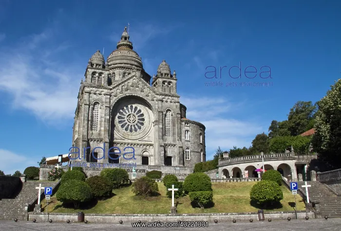 : Portugal, Viana do Castelo. The Basilica : Portugal, Viana do Castelo. The Basilica