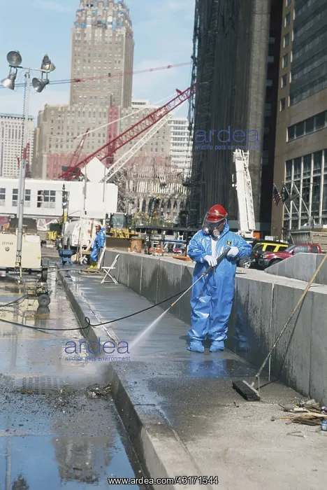 : Post-9 / 11 Cleanup, New York City : Post-9 / 11 Cleanup, New York City