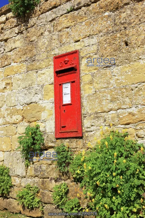 : A post box in a wall on a summers day near the cotswold vill : A post box in a wall on a summers day near the cotswold vill