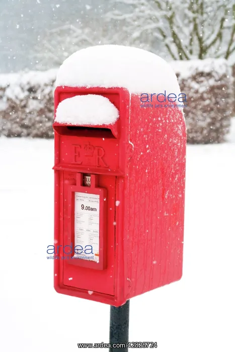  : Post Box - in winter snow