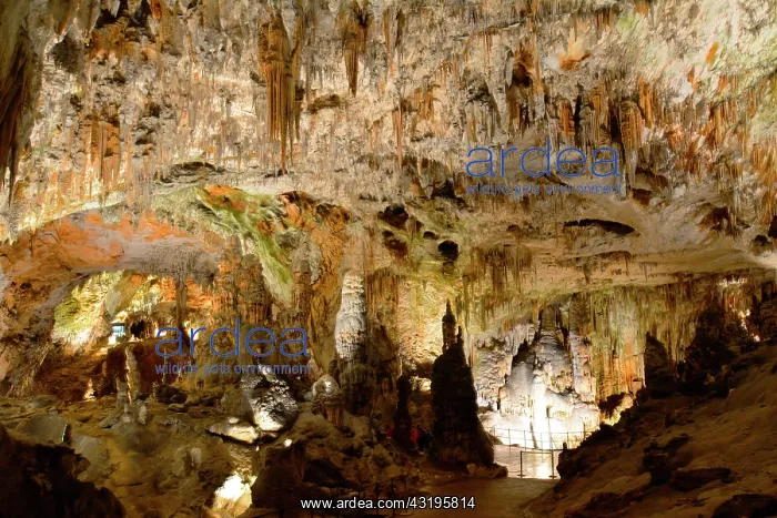 : Postojna Cave, 22 km long and dug by the Pivka river : Postojna Cave, 22 km long and dug by the Pivka river