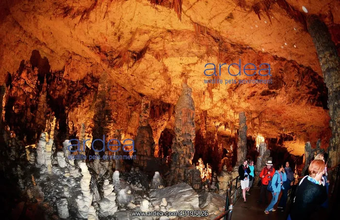 : Postojna Cave, 22 km long and dug by the Pivka river : Postojna Cave, 22 km long and dug by the Pivka river