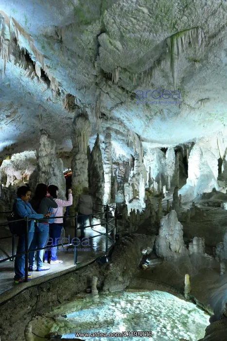: Postojna Cave, 22 km long and dug by the Pivka river : Postojna Cave, 22 km long and dug by the Pivka river
