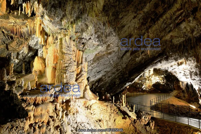 : Postojna Cave, 22 km long and dug by the Pivka river : Postojna Cave, 22 km long and dug by the Pivka river