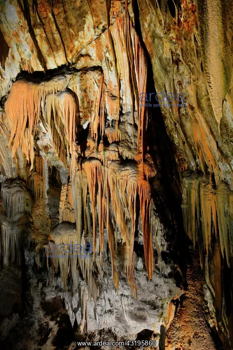 : Postojna Cave, 22 km long and dug by the Pivka river : Postojna Cave, 22 km long and dug by the Pivka river