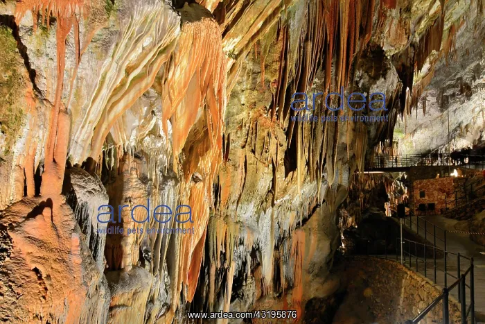 : Postojna Cave, 22 km long and dug by the Pivka river : Postojna Cave, 22 km long and dug by the Pivka river