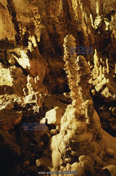 : Postojna Cave, Slovenia : Postojna Cave, Slovenia