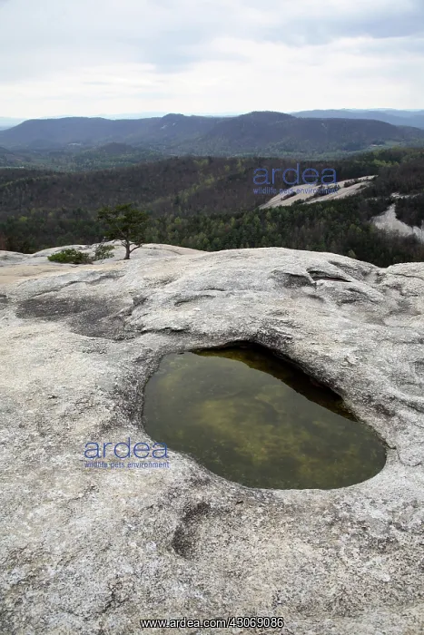 : Pothole Caused by Erosion : Pothole Caused by Erosion