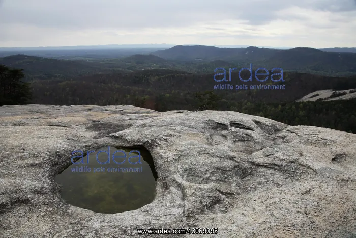 : Pothole Caused by Erosion : Pothole Caused by Erosion