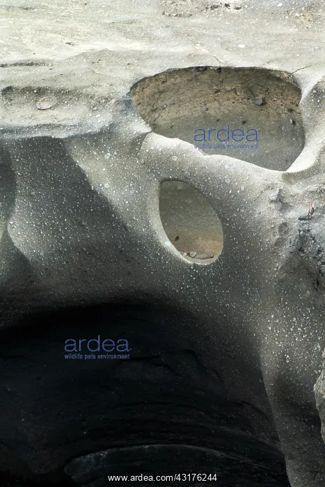 : Pothole in Riverbed : Pothole in Riverbed