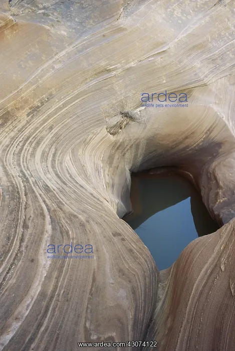 : Pothole in Sandstone Formation, Arizona : Pothole in Sandstone Formation, Arizona