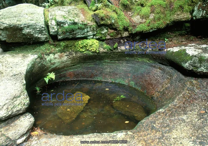 : Potholes in Riverbed : Potholes in Riverbed